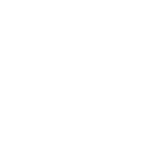 American Amicable Group logo white