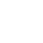 SBLI logo white
